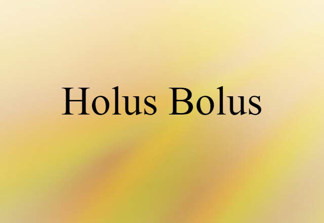 Holus Bolus (noun) Definition, Meaning & Examples