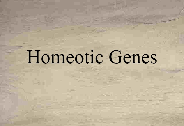 homeotic genes