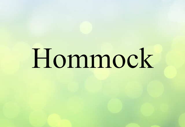 Hommock (noun) Definition, Meaning & Examples