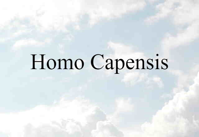 Homo capensis