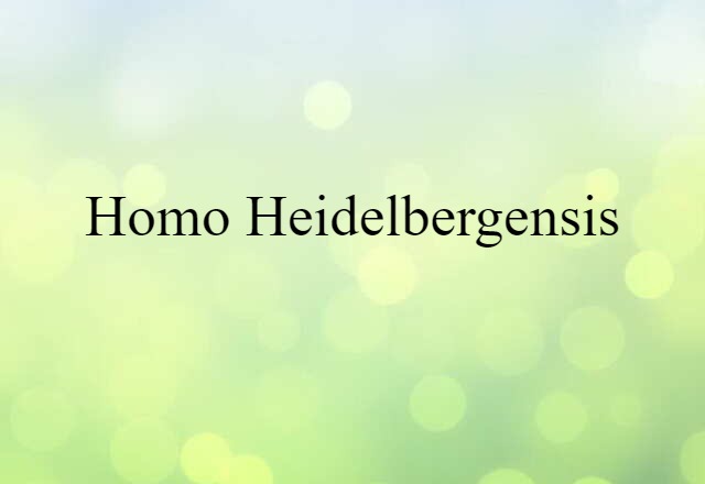 Homo heidelbergensis