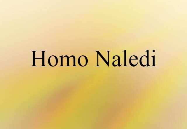 Homo Naledi (noun) Definition, Meaning & Examples