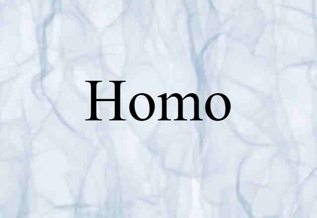 Homo (noun) Definition, Meaning & Examples