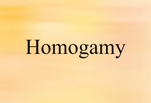 homogamy