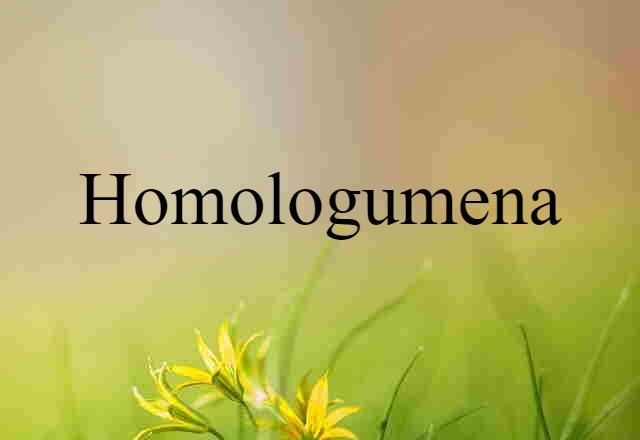 Homologumena (noun) Definition, Meaning & Examples