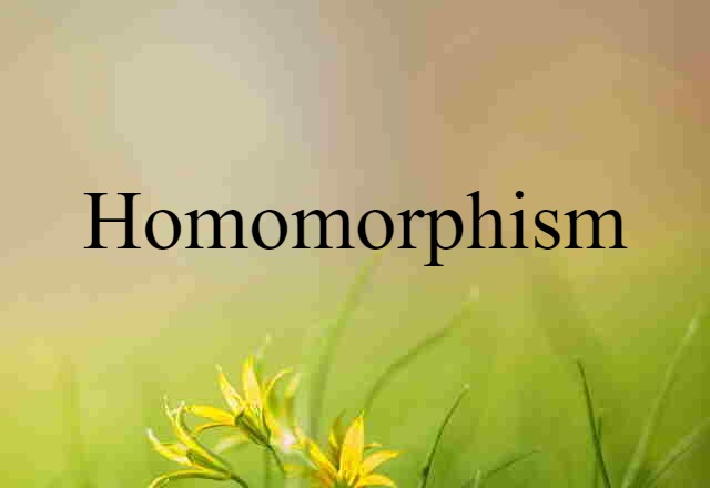 homomorphism