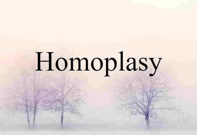 homoplasy