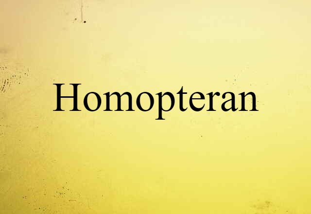 Homopteran (noun) Definition, Meaning & Examples