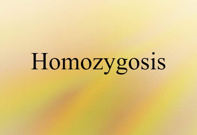 Homozygosis (noun) Definition, Meaning & Examples