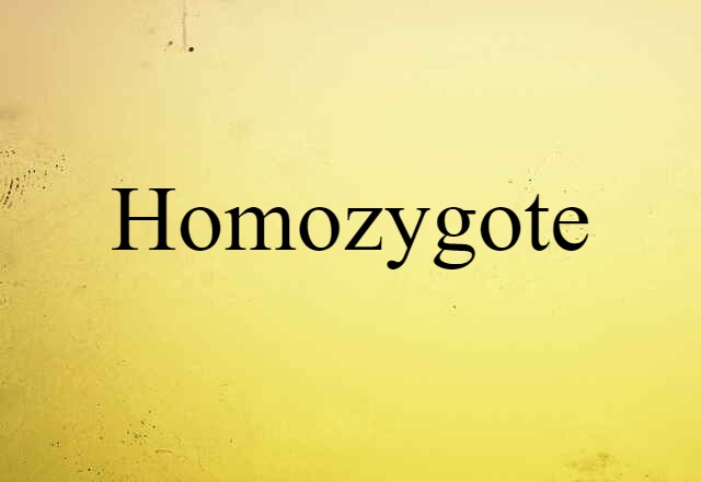 homozygote