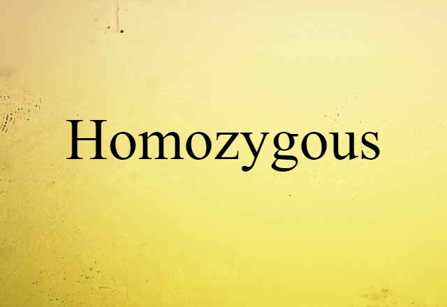 Homozygous (noun) Definition, Meaning & Examples