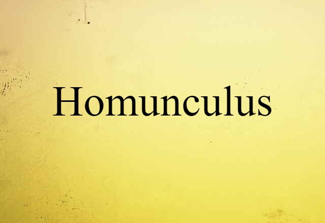 Homunculus (noun) Definition, Meaning & Examples