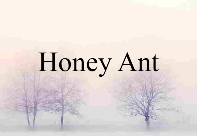 Honey Ant (noun) Definition, Meaning & Examples