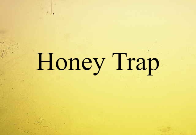 Honey Trap (noun) Definition, Meaning & Examples