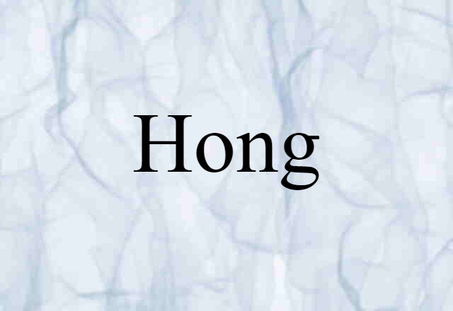 Hong (noun) Definition, Meaning & Examples