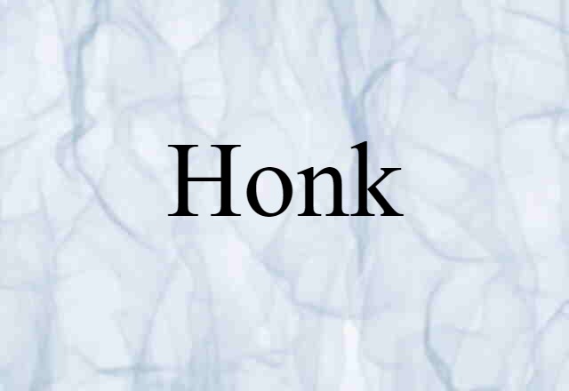 Honk (noun) Definition, Meaning & Examples