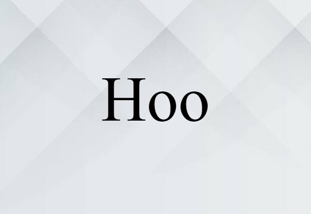 Hoo (noun) Definition, Meaning & Examples