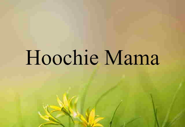 Hoochie Mama (noun) Definition, Meaning & Examples