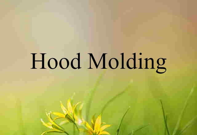 Hood Molding (noun) Definition, Meaning & Examples