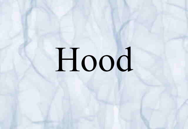 Hood (noun) Definition, Meaning & Examples