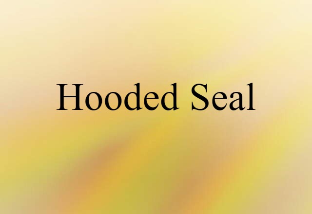 hooded seal