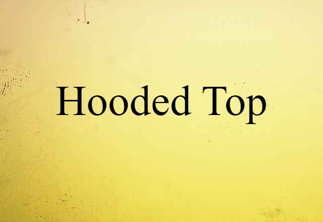 Hooded Top (noun) Definition, Meaning & Examples