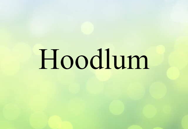 Hoodlum (noun) Definition, Meaning & Examples