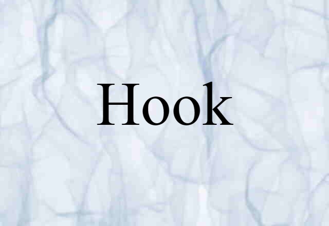 Hook (noun) Definition, Meaning & Examples