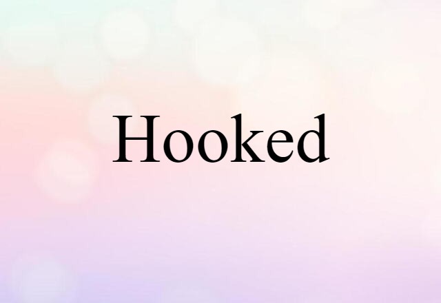 Hooked (noun) Definition, Meaning & Examples