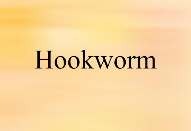 Hookworm (noun) Definition, Meaning & Examples