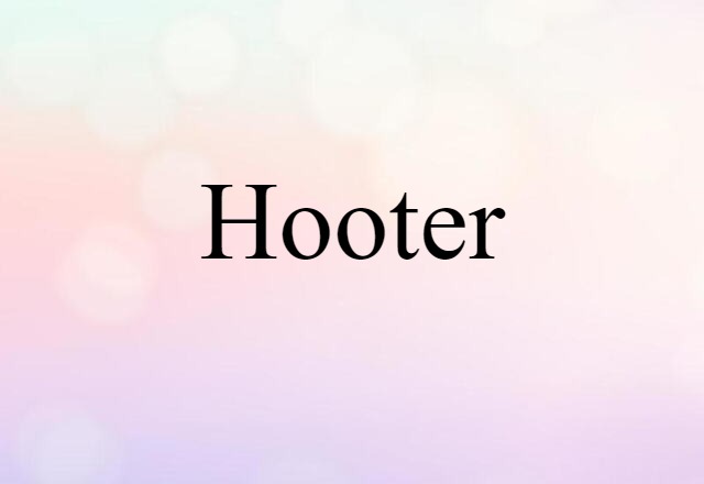 Hooter (noun) Definition, Meaning & Examples