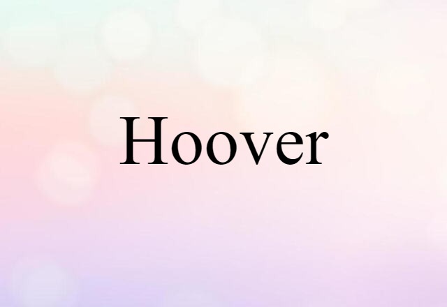 Hoover (noun) Definition, Meaning & Examples