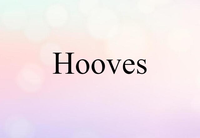 Hooves (noun) Definition, Meaning & Examples