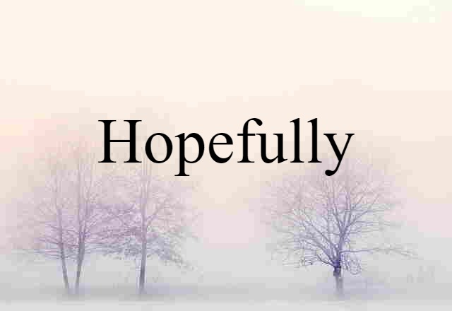 Hopefully (noun) Definition, Meaning & Examples