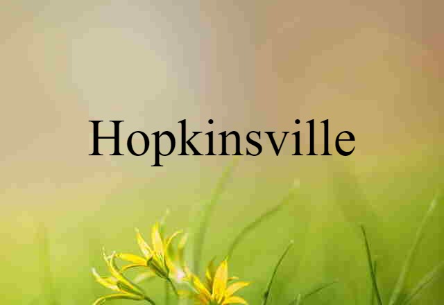 Hopkinsville (noun) Definition, Meaning & Examples