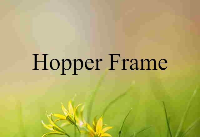 Hopper Frame (noun) Definition, Meaning & Examples