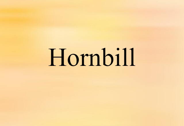 hornbill