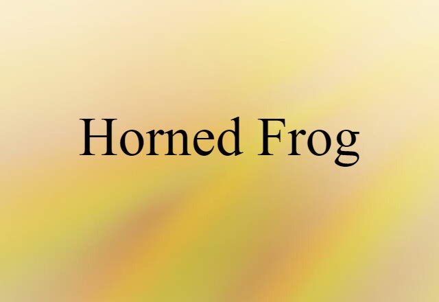 Horned Frog (noun) Definition, Meaning & Examples