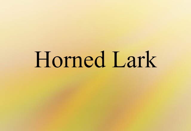 horned lark