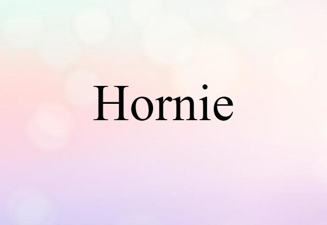 Hornie (noun) Definition, Meaning & Examples