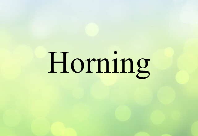 horning