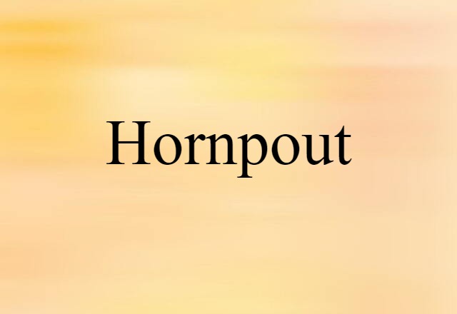 Hornpout (noun) Definition, Meaning & Examples