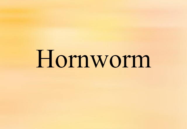 hornworm