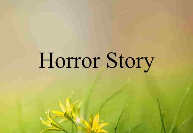 Horror Story (noun) Definition, Meaning & Examples