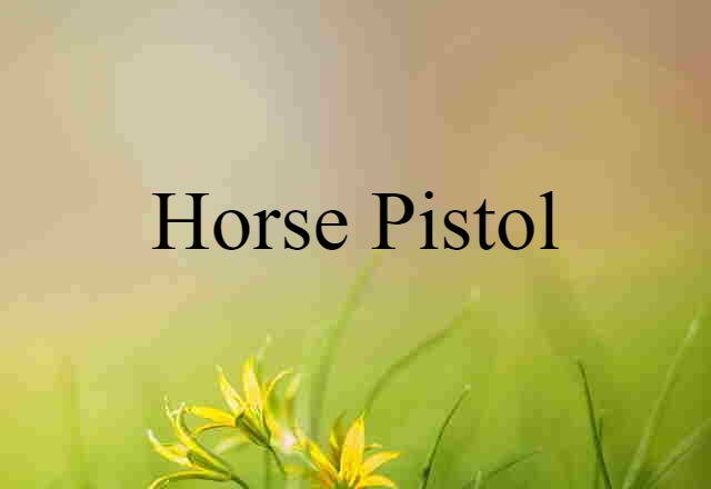 Horse Pistol (noun) Definition, Meaning & Examples