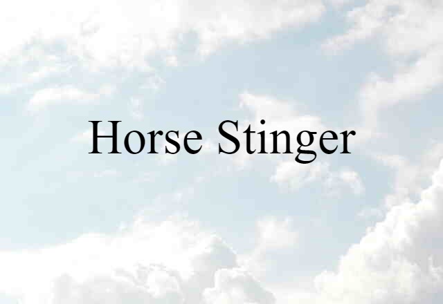 Horse Stinger (noun) Definition, Meaning & Examples