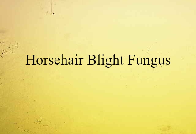 horsehair-blight fungus