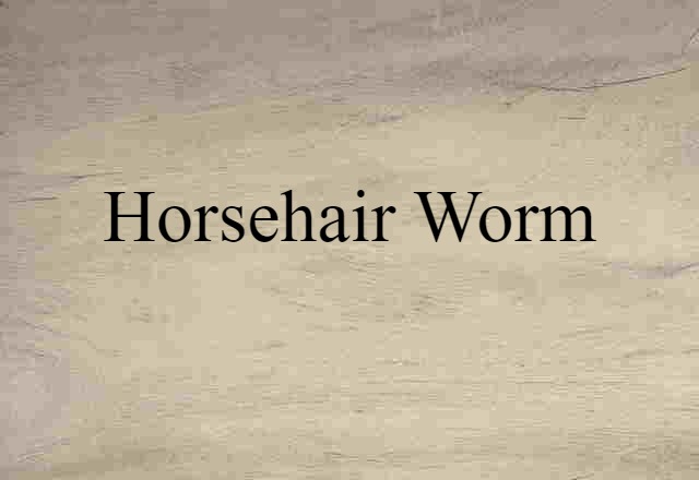 Horsehair Worm (noun) Definition, Meaning & Examples