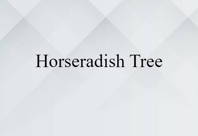 Horseradish Tree (noun) Definition, Meaning & Examples