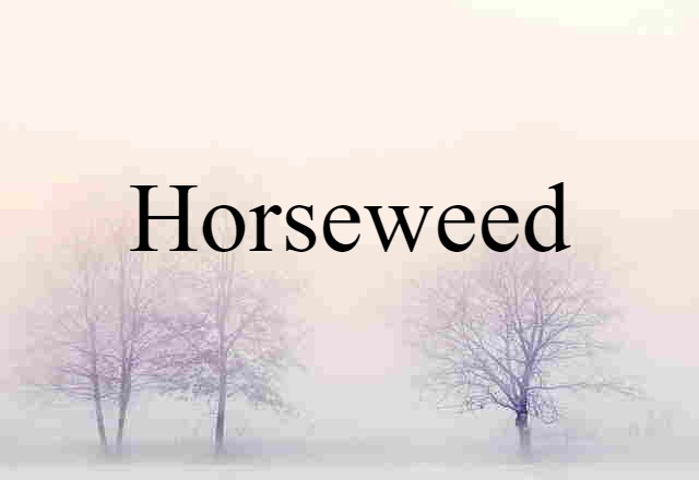 horseweed